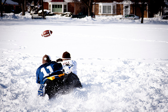 20110205_IMG_1631